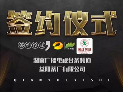 湘益茯，美茗揚(yáng) 丨湘益茯茶與茶頻道達(dá)成長(zhǎng)期戰(zhàn)略合作